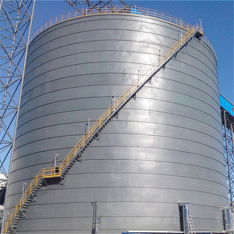 鋼板倉(cāng)貴州安順3萬(wàn)噸粉煤灰倉(cāng)落成